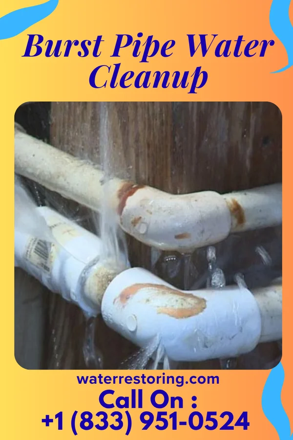 Burst Pipe Water Cleanup in Homeland, GA